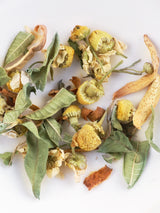 STILL-TEE OHNE FENCHEL